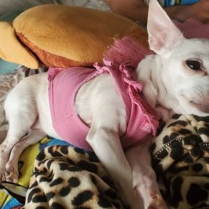 Meet your Posher, Cynthia